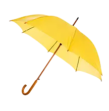 Insurance Premium Finance